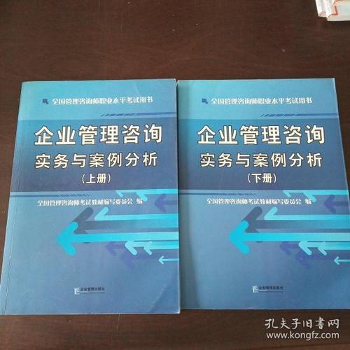 企业管理咨询实务与案例分析 从诊断到落地的价值创造之路